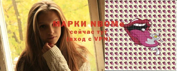 прущие грибы Богородицк