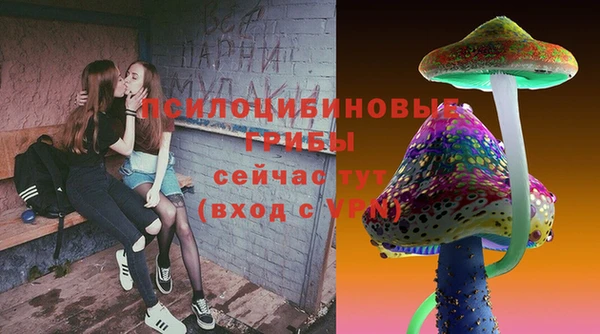спиды Покачи
